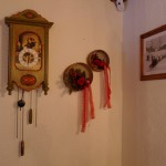 Dettaglio - Malga Ra Stua